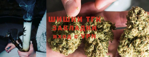 амф Ступино