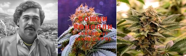 прущая мука Баксан