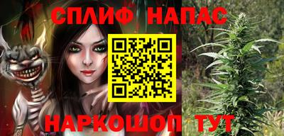 индика Беслан