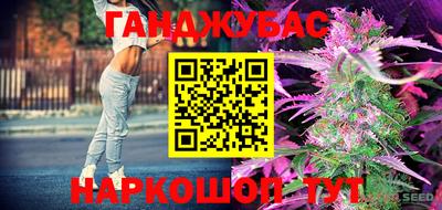 индика Беслан