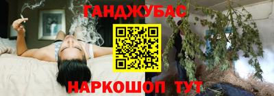 индика Бийск