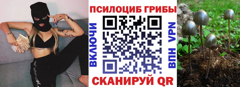 продажа наркотиков  Дальнегорск  Псилоцибиновые грибы мицелий 