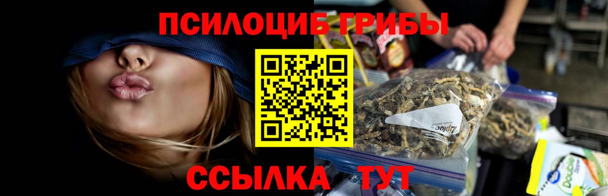 Дальнегорск  Галлюциногенные грибы Magic Shrooms  Вход с VPN 